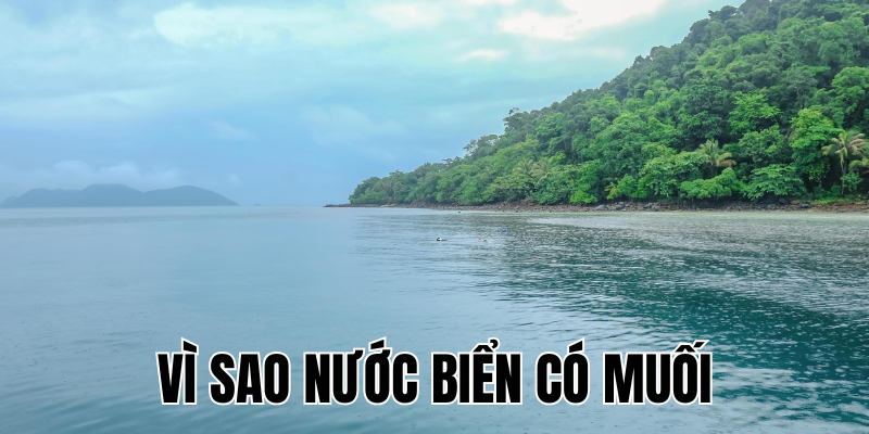 Ảnh Thumb bài viết