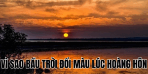 Ảnh Thumb bài viết[1]