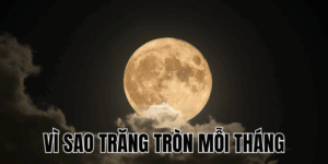 Ảnh Thumb bài viết[1]