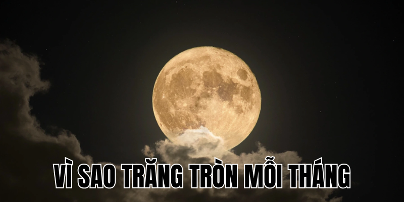 Ảnh Thumb bài viết[1]