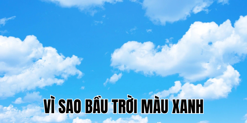 Ảnh Thumb bài viết[1]