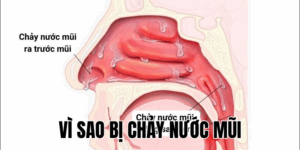 Ảnh Thumb bài viết[1]