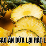 Ảnh Thumb bài viết[1]