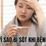 Ảnh Thumb bài viết[1]