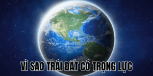 Ảnh Thumb bài viết[1]