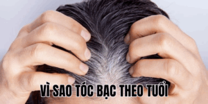 Ảnh Thumb bài viết[1]