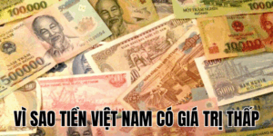 Ảnh Thumb bài viết[1]