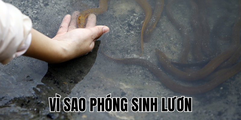 Ảnh Thumb bài viết[1]