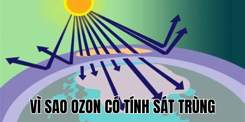 Ảnh Thumb bài viết[1]