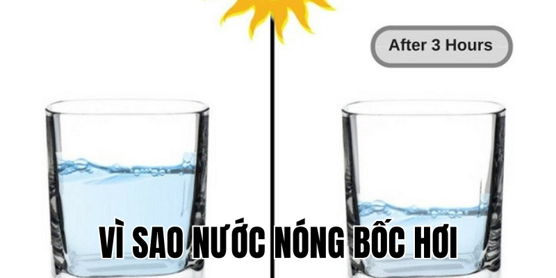 Ảnh Thumb bài viết[1]