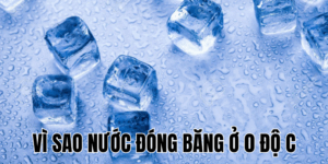 Ảnh Thumb bài viết[1]