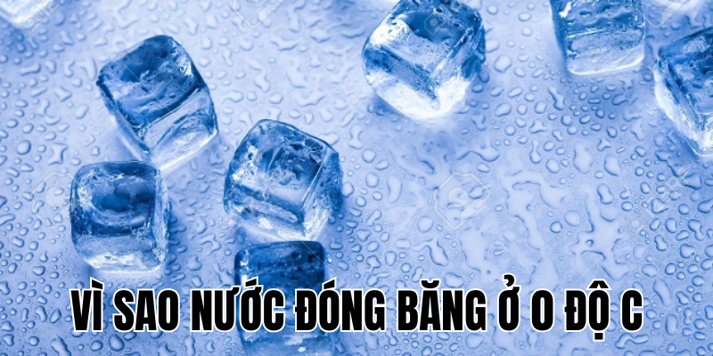 Ảnh Thumb bài viết[1]