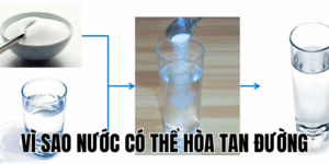 Ảnh Thumb bài viết[1]