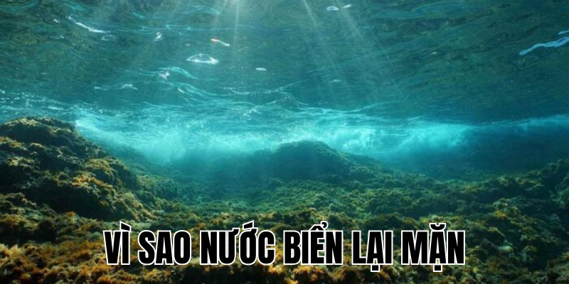 Ảnh Thumb bài viết[1]