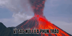 Ảnh Thumb bài viết[1]