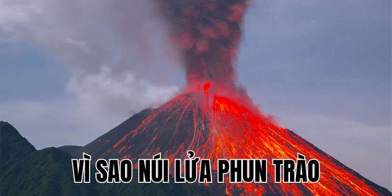 Ảnh Thumb bài viết[1]