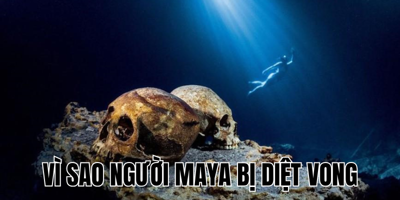 Ảnh Thumb bài viết[1]