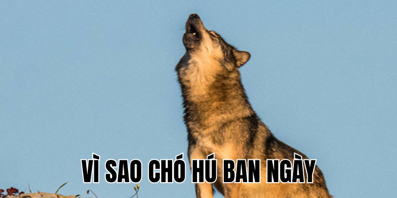 Ảnh Thumb bài viết[1]