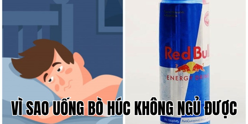 Ảnh Thumb bài viết[1]