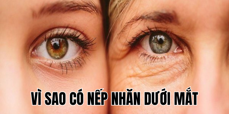 Ảnh Thumb bài viết[1]