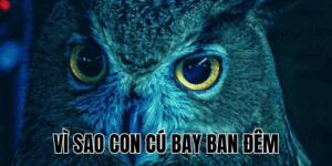 Ảnh Thumb bài viết[1]