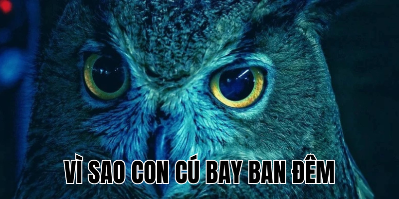 Ảnh Thumb bài viết[1]