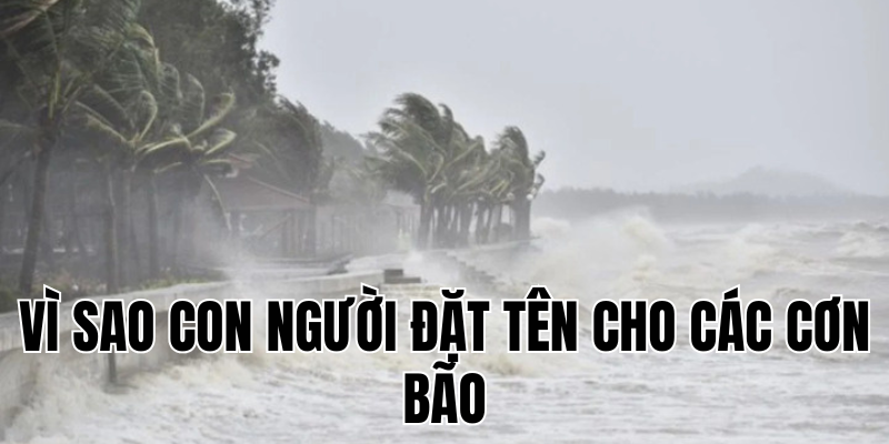 Ảnh Thumb bài viết[1]