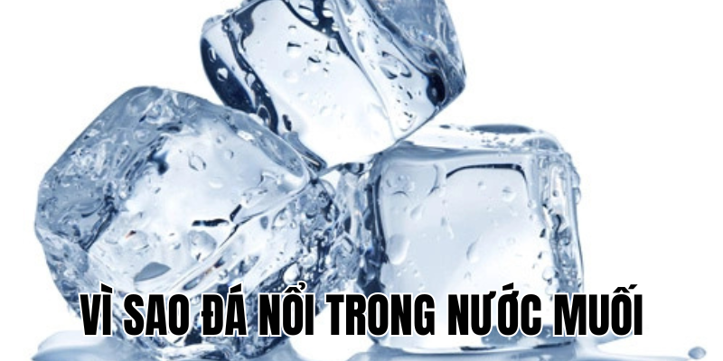 Ảnh Thumb bài viết[1]