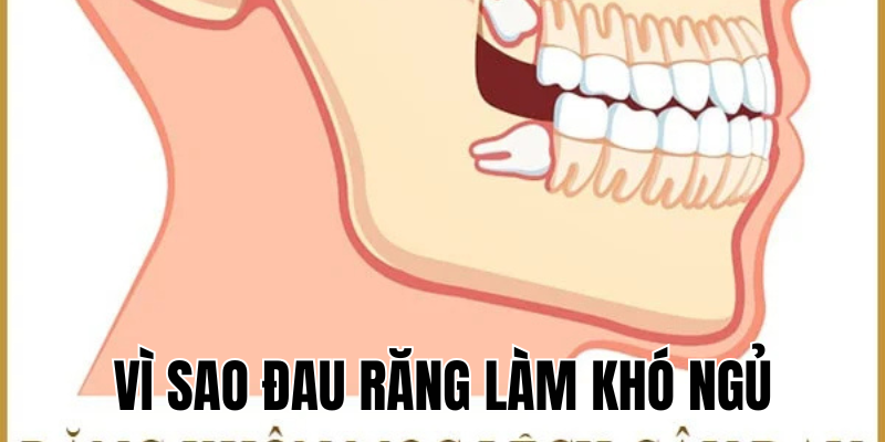 Ảnh Thumb bài viết[1]
