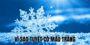 Ảnh Thumb bài viết[1]