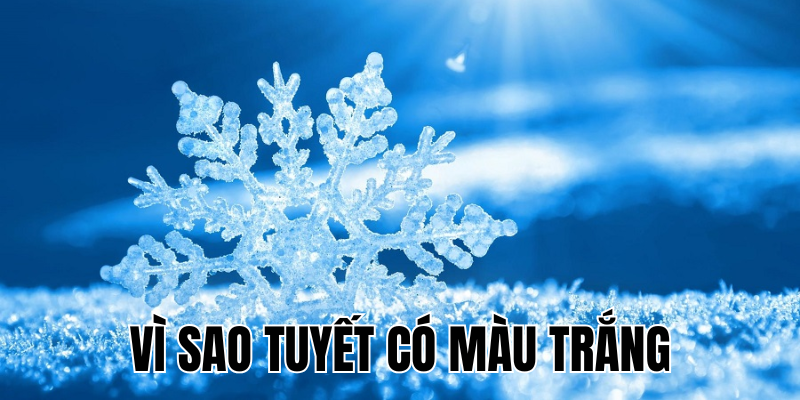 Ảnh Thumb bài viết[1]