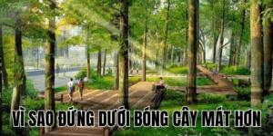 Ảnh Thumb bài viết[1]