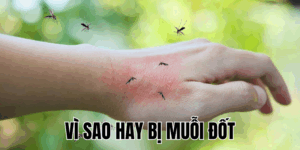 Ảnh Thumb bài viết[1]