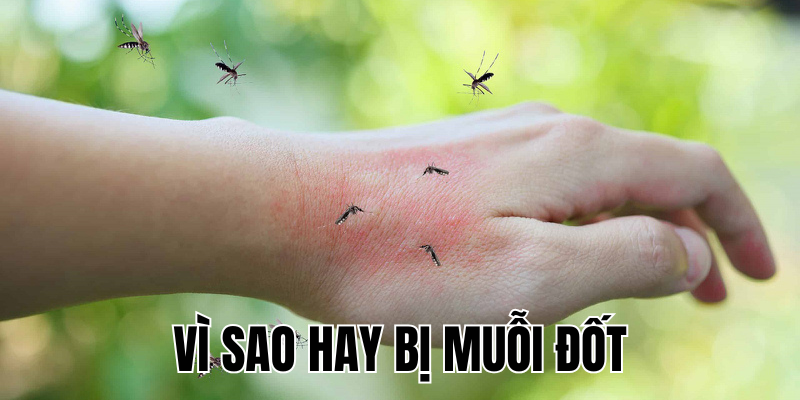 Ảnh Thumb bài viết[1]