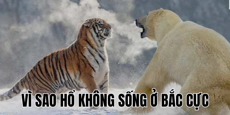 Ảnh Thumb bài viết[1]