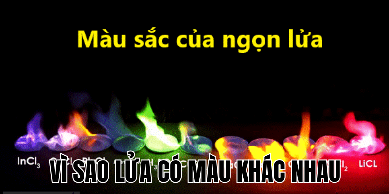 Ảnh Thumb bài viết[1]