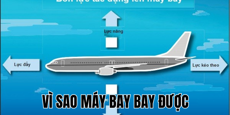 Ảnh Thumb bài viết[1]