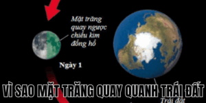 Ảnh Thumb bài viết[1]