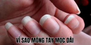 Ảnh Thumb bài viết[1]