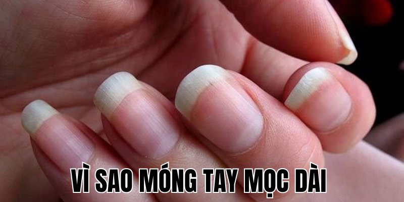 Ảnh Thumb bài viết[1]