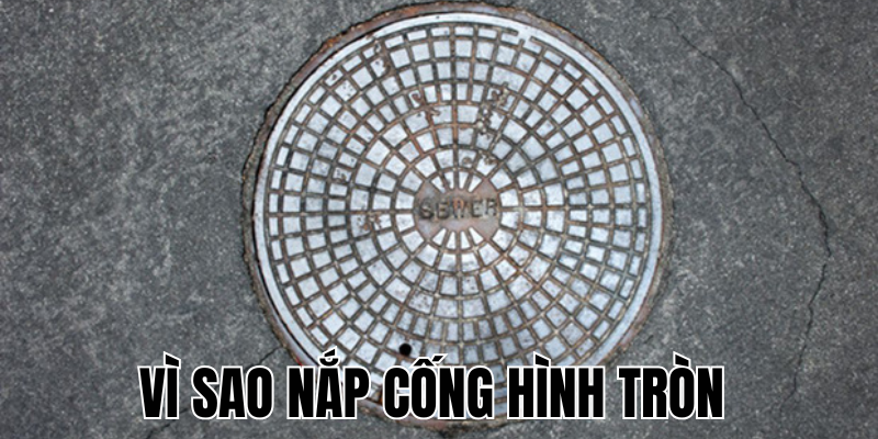 Ảnh Thumb bài viết[1]