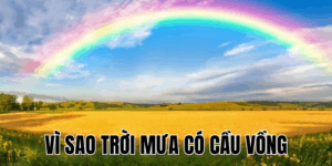 Ảnh Thumb bài viết[1]