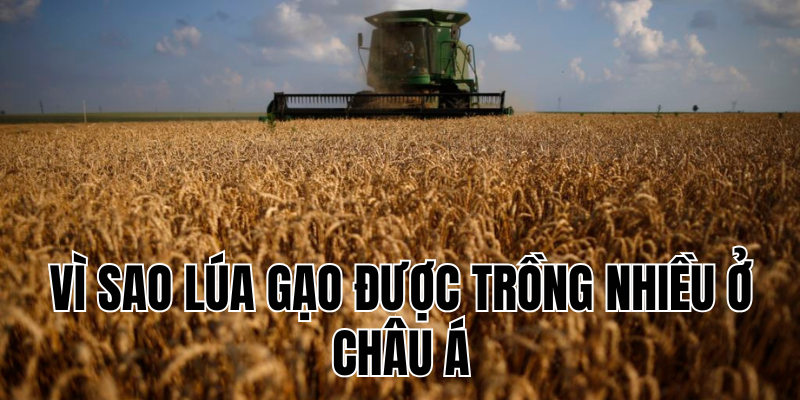 Ảnh Thumb bài viết[2]