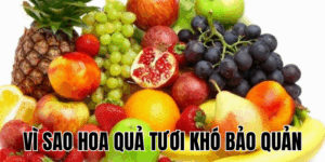 Ảnh Thumb bài viết[2]