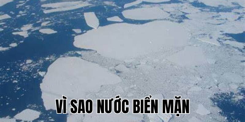 Ảnh Thumb bài viết[2]