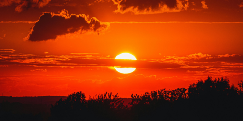 Ảnh trong bài 1[1]