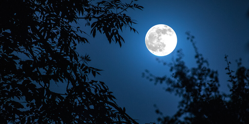 Ảnh trong bài 1[1]