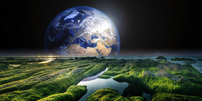 Ảnh trong bài 1[1]