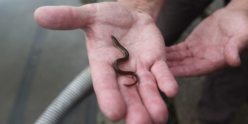 Ảnh trong bài 1[1]