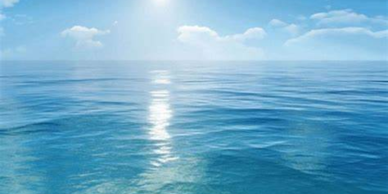 Ảnh trong bài 1[1]